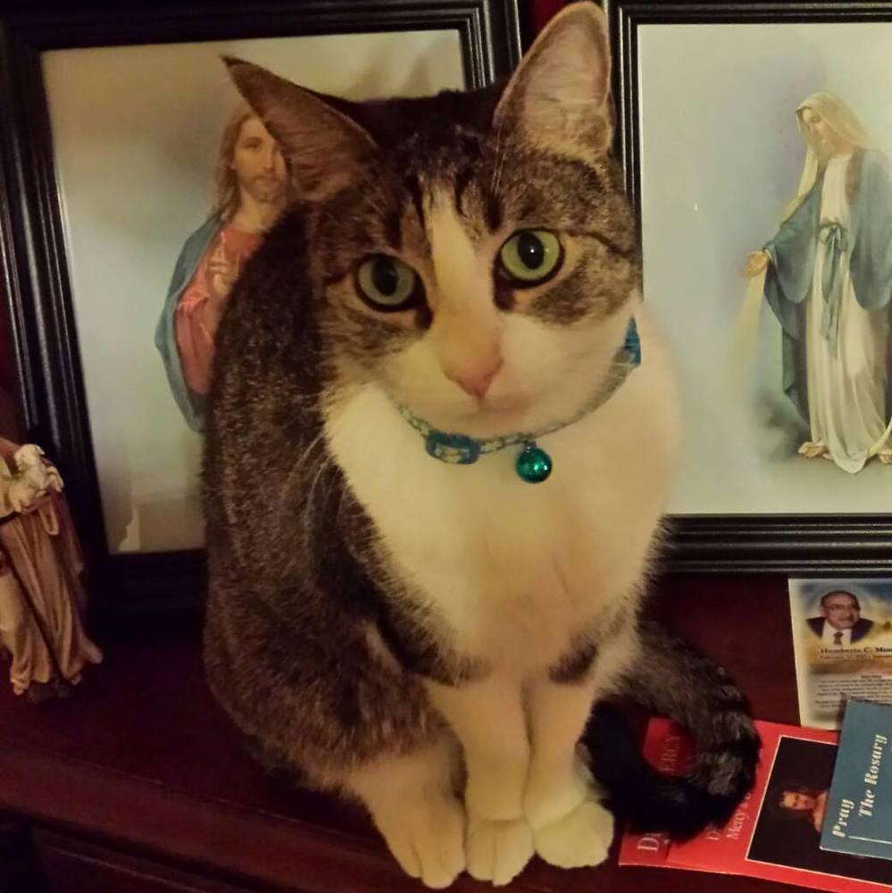 Meet your Posher, Lilly